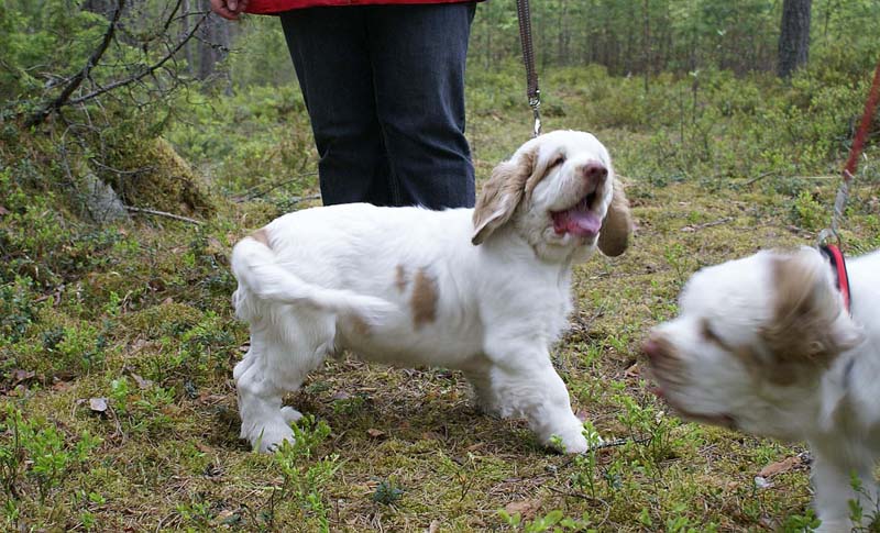 RoundTableKnights_4months_Eddie_B