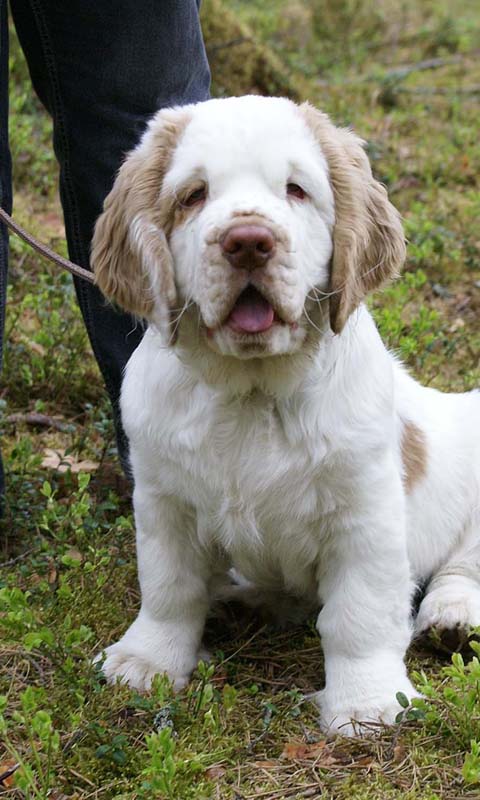 RoundTableKnights_4months_Eddie_C