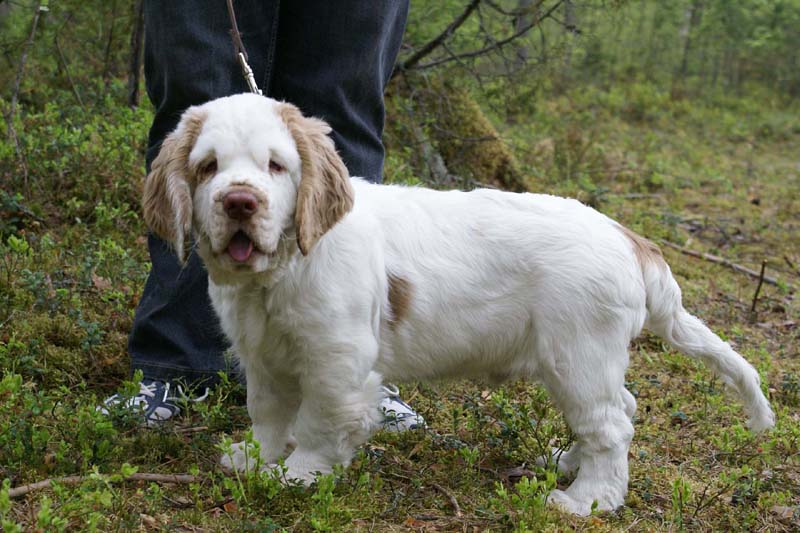 RoundTableKnights_4months_Eddie_D