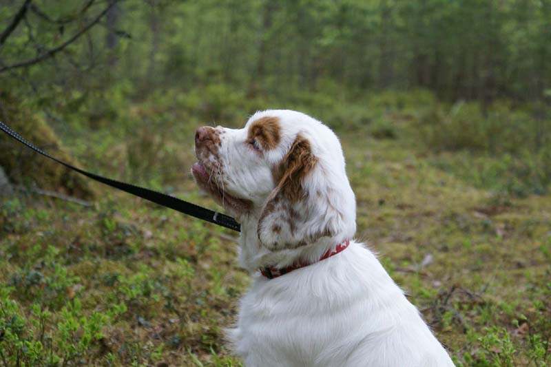 RoundTableKnights_4months_Ella