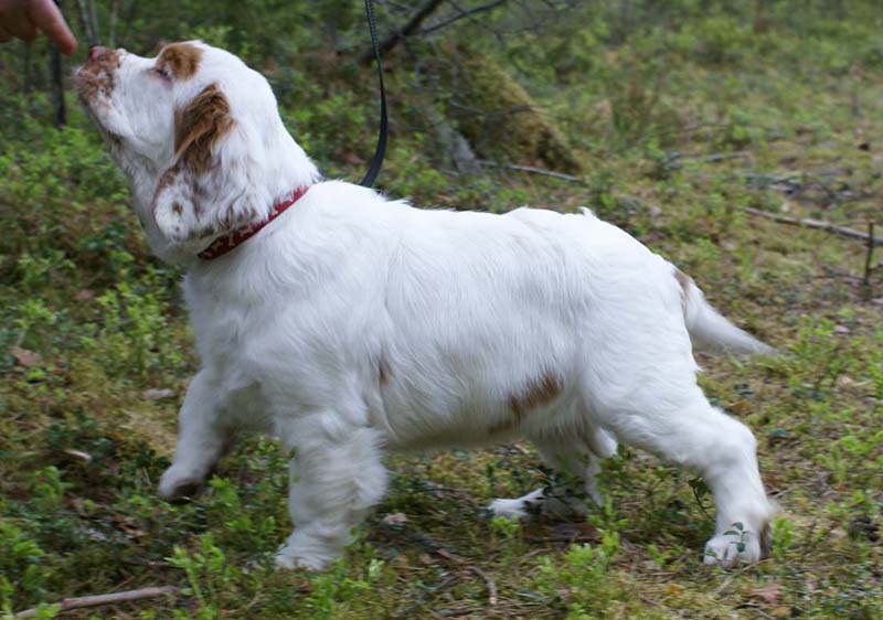 RoundTableKnights_4months_Ella_C