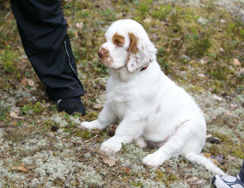 RoundTableKnights_4months_Ella_D