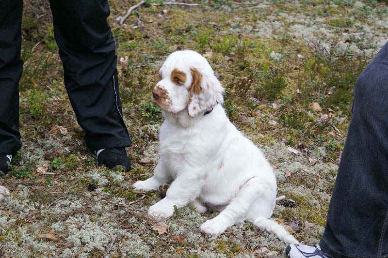 RoundTableKnights_4months_Ella_E