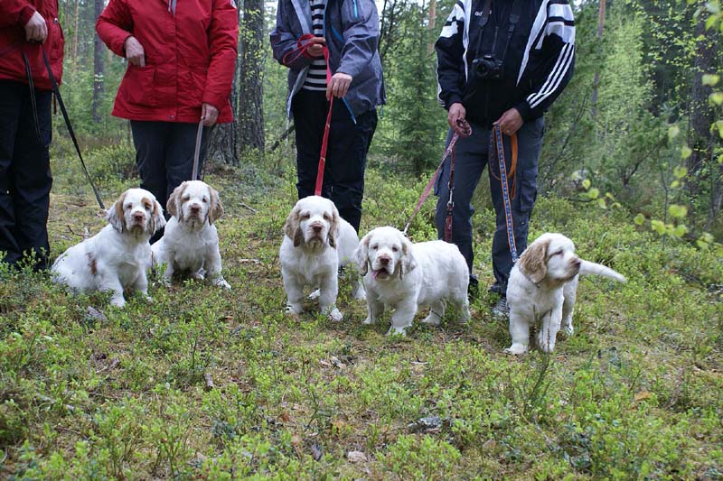 RoundTableKnights_4months_Ella_Eddie_Keke_Flynn_Hilla_F