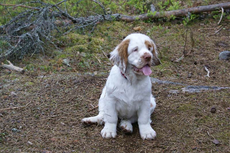 RoundTableKnights_4months_Ella_F