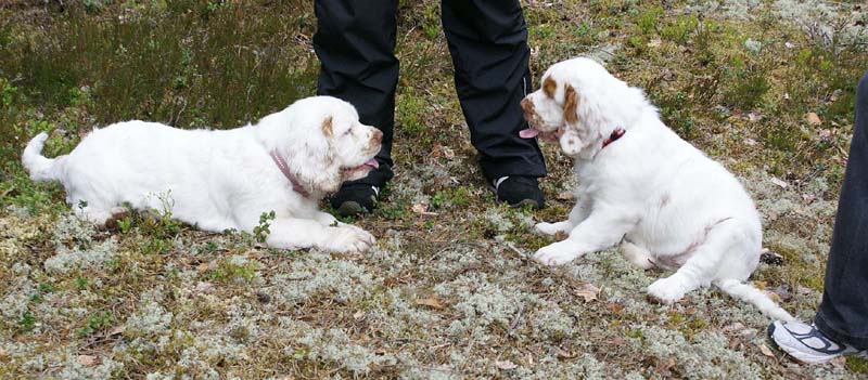 RoundTableKnights_4months_Ella_Flynn