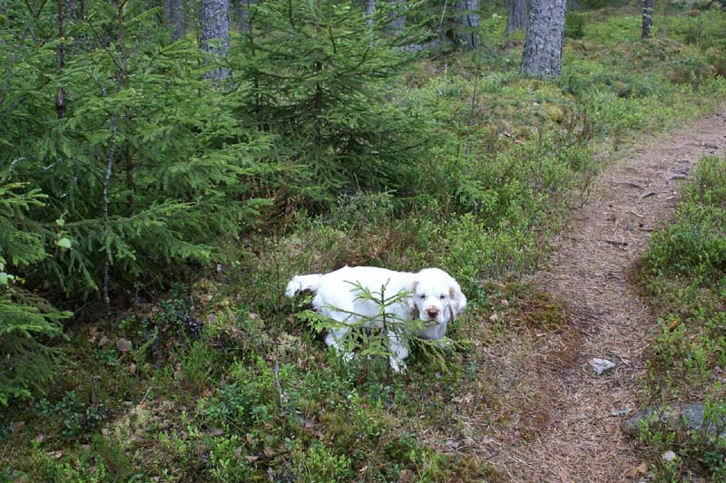 RoundTableKnights_4months_Hilla