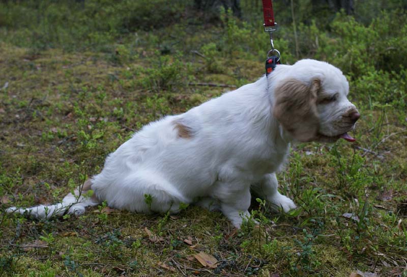 RoundTableKnights_4months_Keke