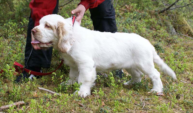 RoundTableKnights_4months_Keke_B