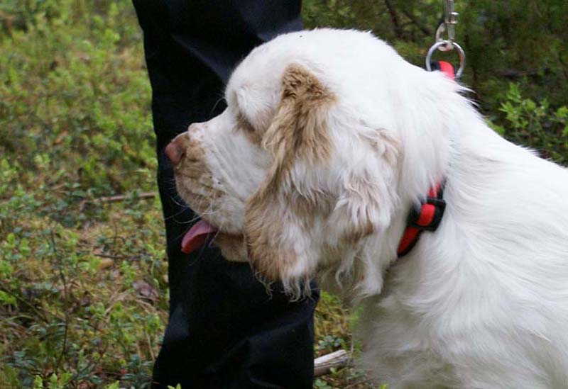 RoundTableKnights_4months_Keke_C