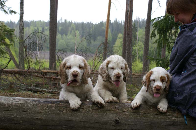 RoundTableKnights_4months_Keke_Hilla_Ella