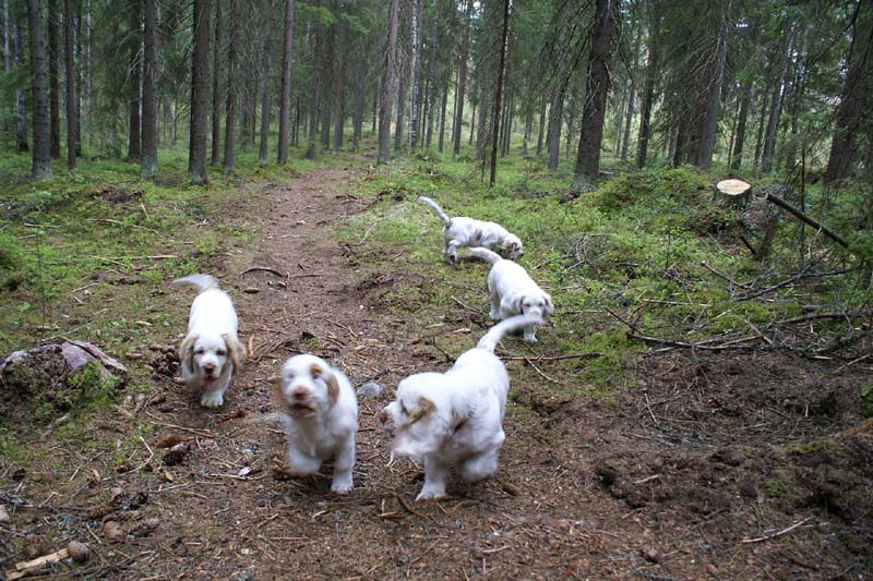 RoundTableKnights_4months_a