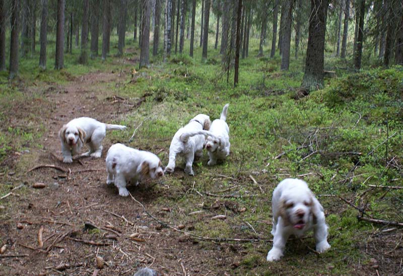 RoundTableKnights_4months_b