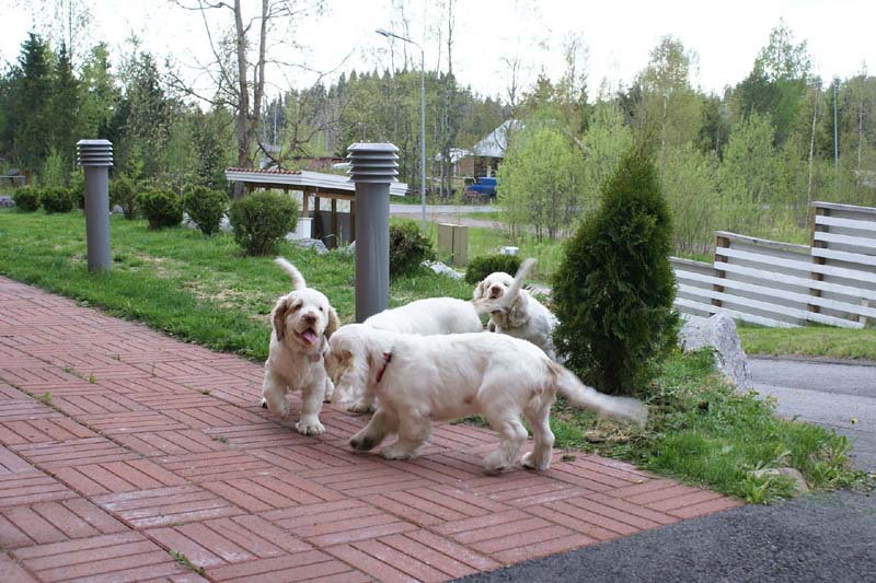 RoundTableKnights_4months_d