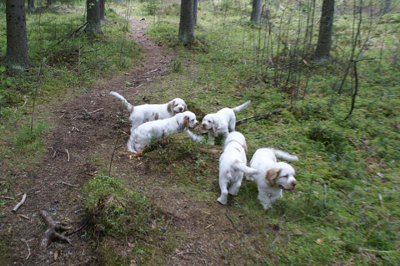 RoundTableKnights_4months_e