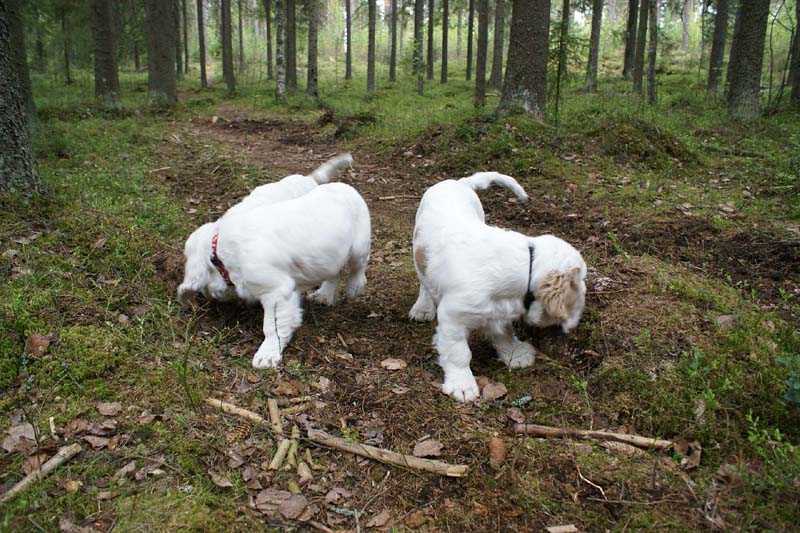 RoundTableKnights_4months_f