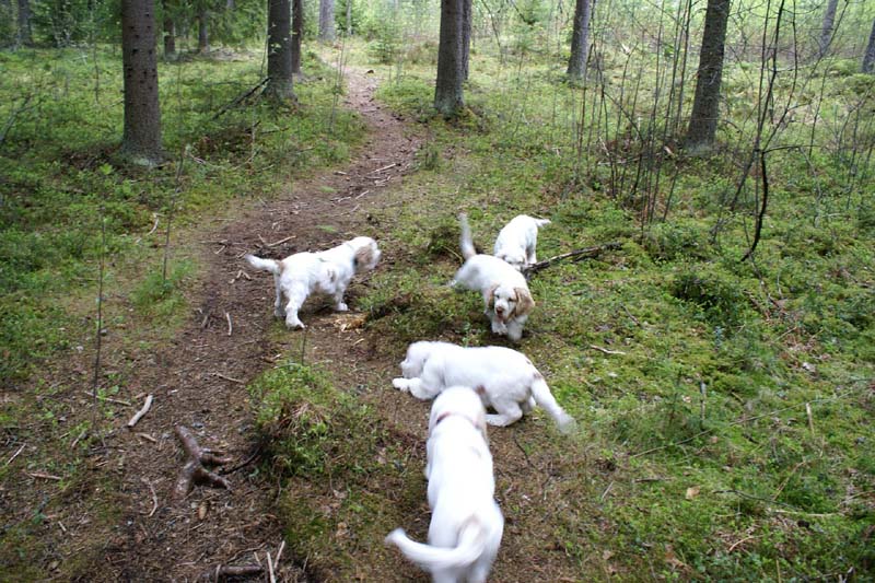 RoundTableKnights_4months_g