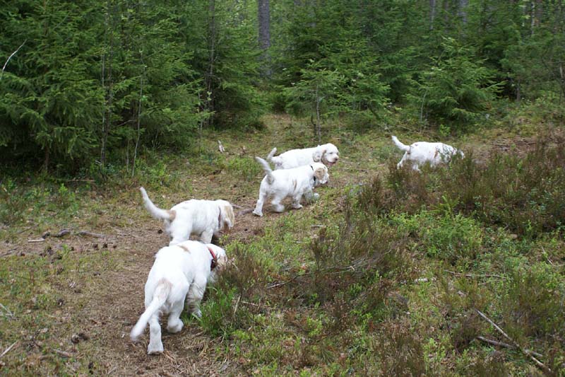 RoundTableKnights_4months_h