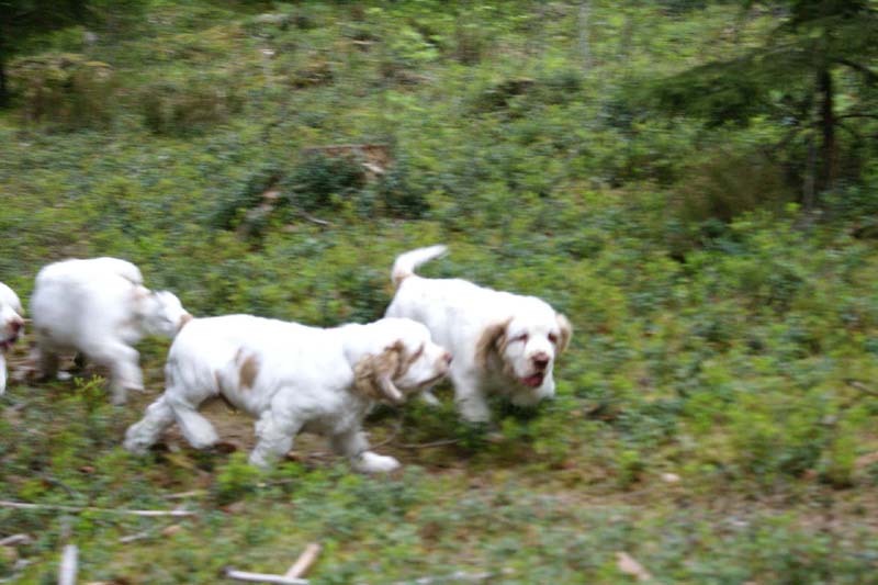 RoundTableKnights_4months_i