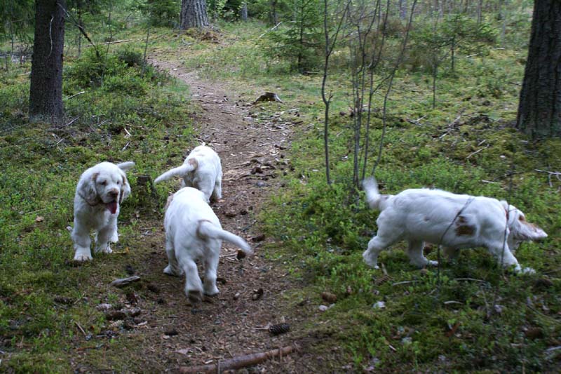 RoundTableKnights_4months_j