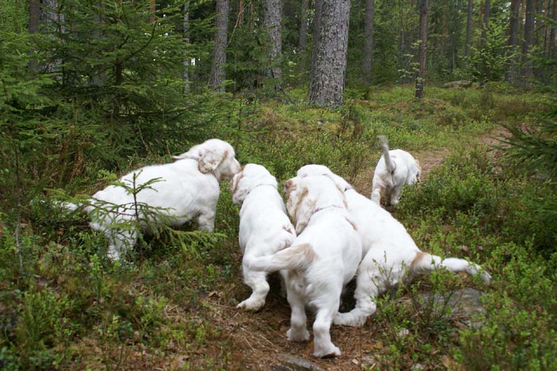 RoundTableKnights_4months_k