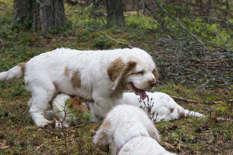 RoundTableKnights_4months_nn