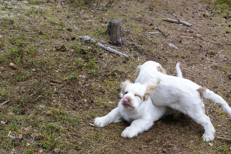 RoundTableKnights_4months_p