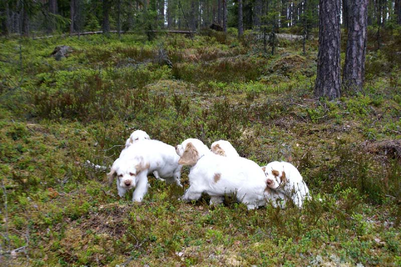 RoundTableKnights_4months_q