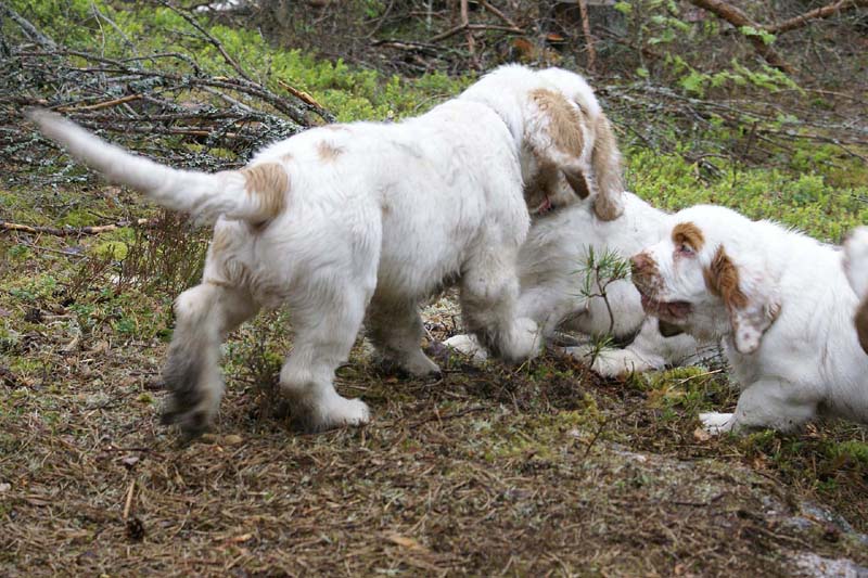 RoundTableKnights_4months_rr