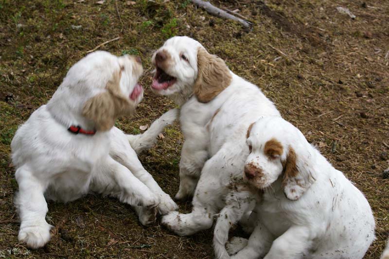 RoundTableKnights_4months_ss