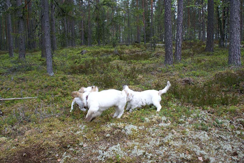 RoundTableKnights_4months_u