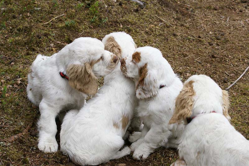 RoundTableKnights_4months_vv