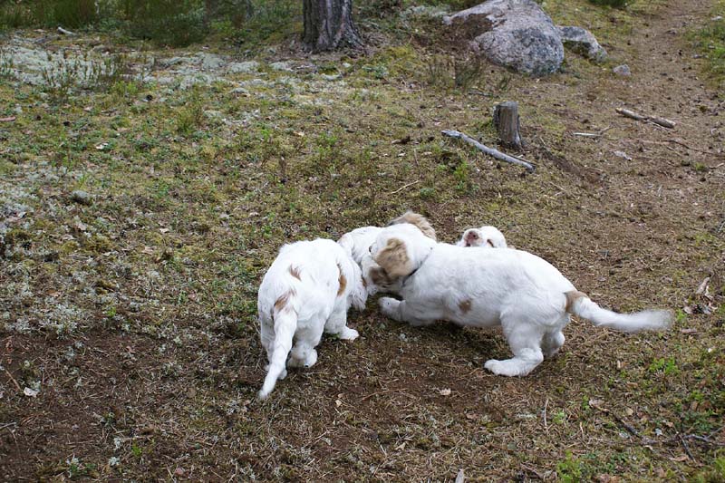 RoundTableKnights_4months_ww