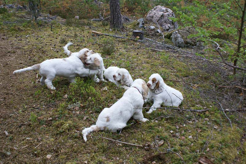 RoundTableKnights_4months_x