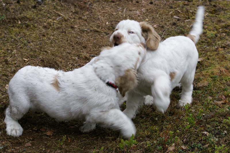 RoundTableKnights_4months_xx