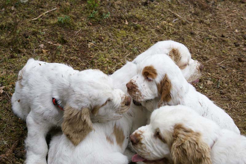 RoundTableKnights_4months_y