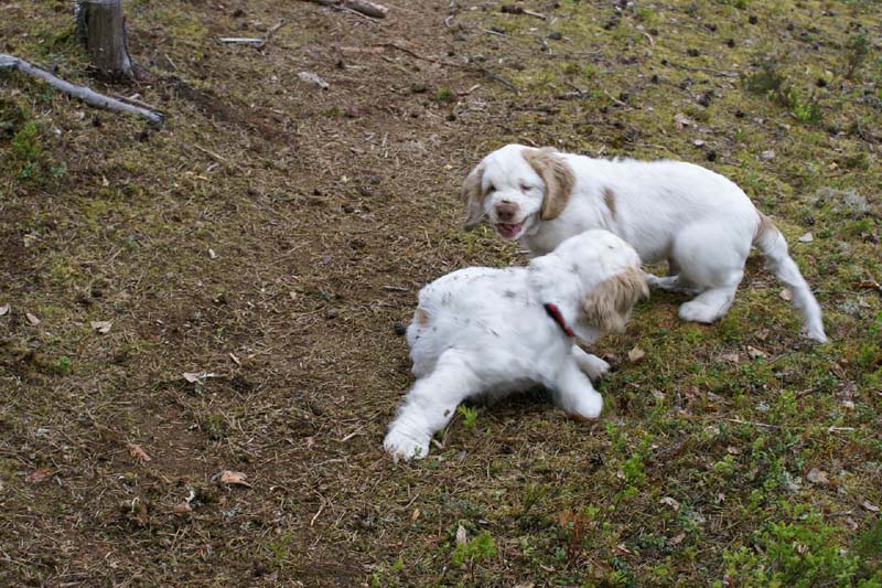 RoundTableKnights_4months_yy