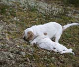 RoundTableKnights_4months_t