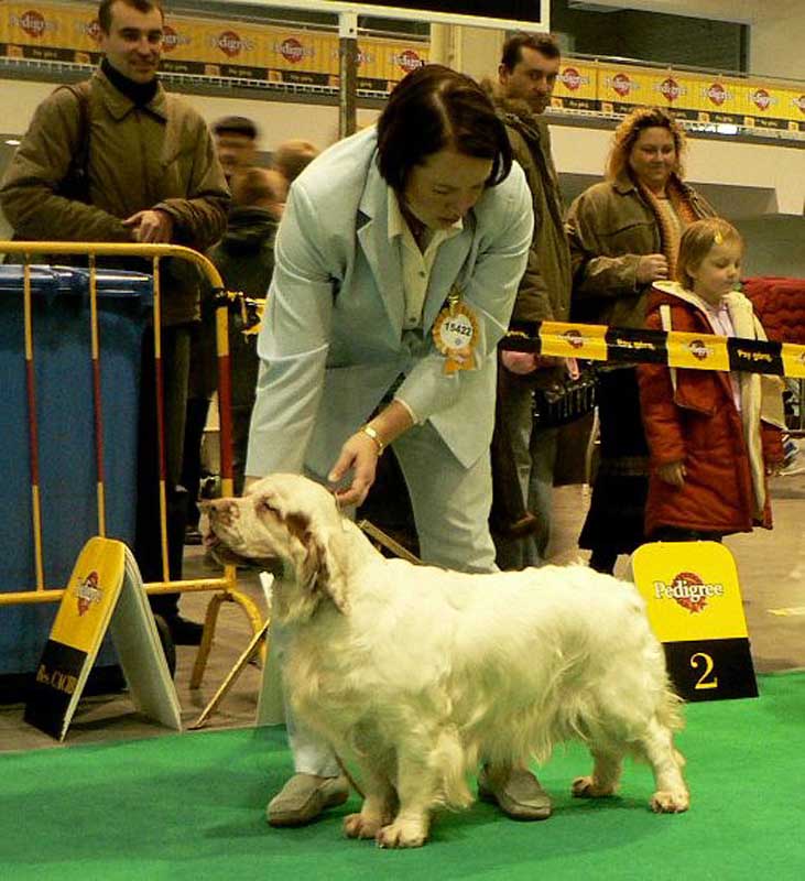 WDS_Bea_winning_open_class_a