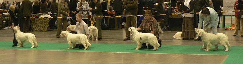 WDS_Cotton_junior_class_4th_0