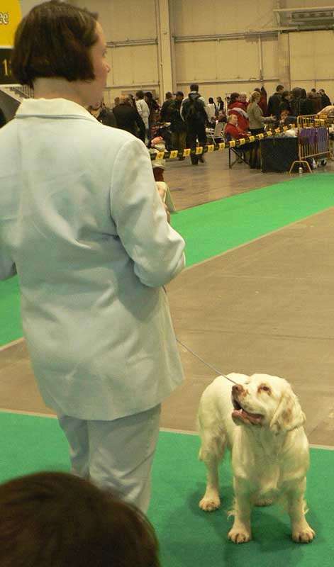 WDS_Cotton_junior_class_4th_d