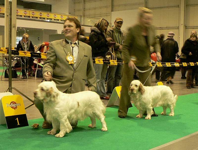 WDS_Ira_winning_working_class_a