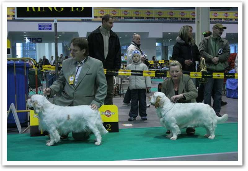WDS_Monika_Ira_winning_wokring_class
