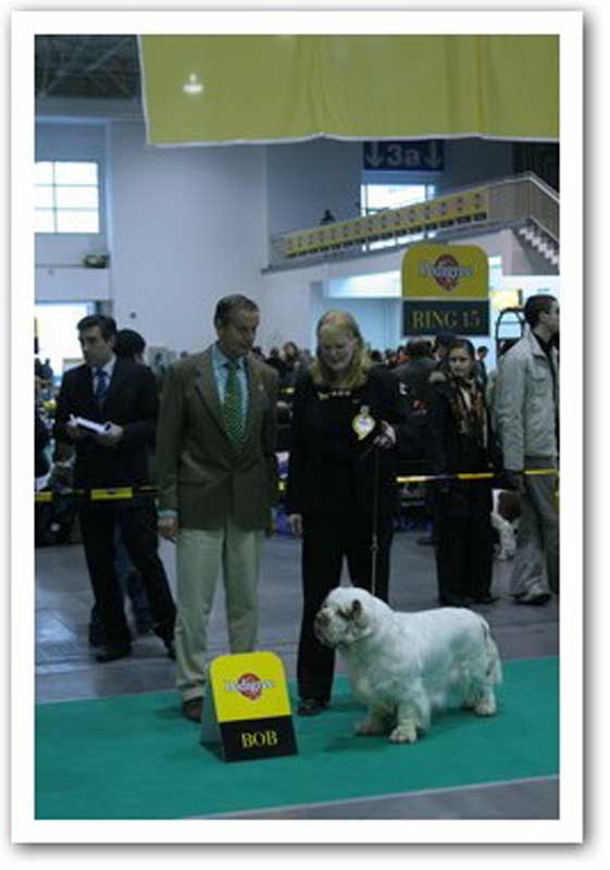 WDS_Monika_Snow_BOB_a
