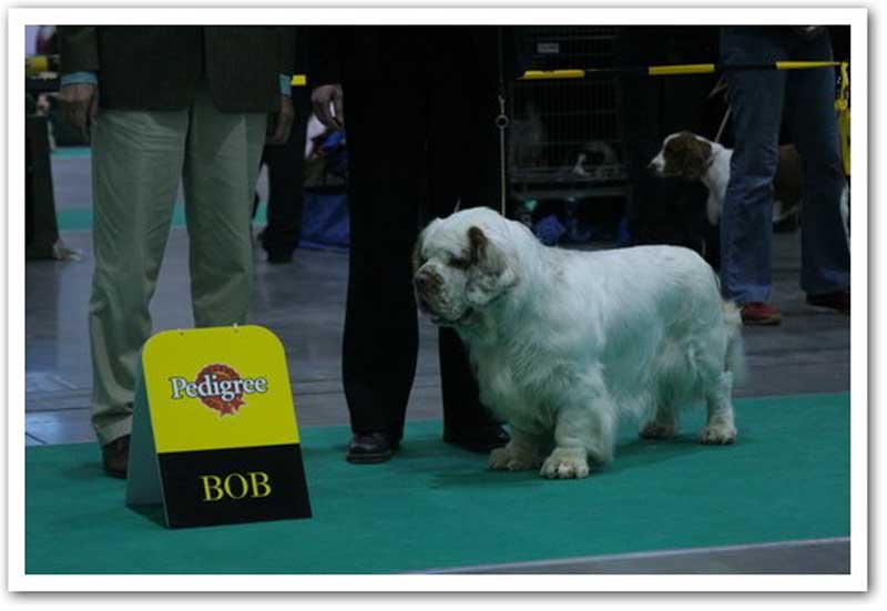 WDS_Monika_Snow_BOB_c
