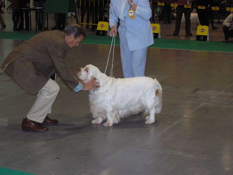 WDS_Winston_judged_b