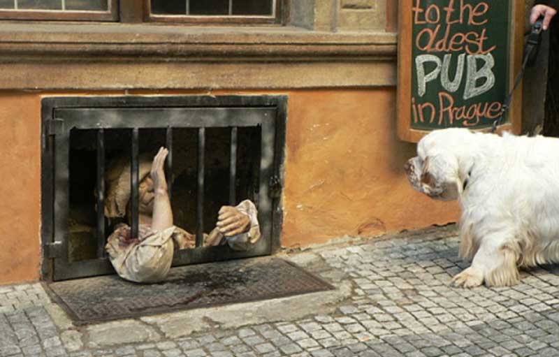 Winston_in_Prague_OMG