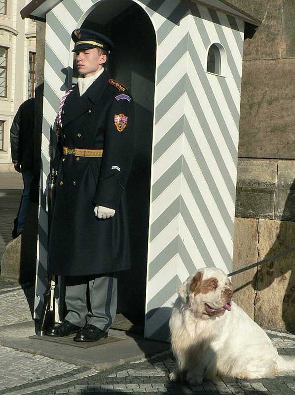 Winston_in_Prague_applying_to_army