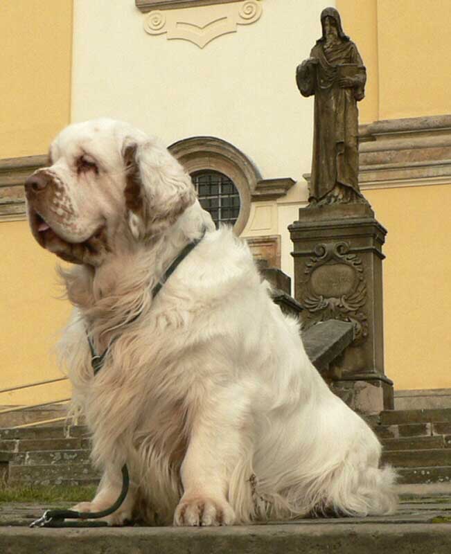 Winston_in_Prague_b