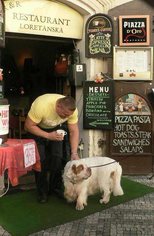 Winston_in_Prague_visiting_pub